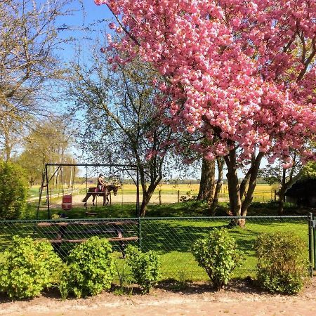 Fine Holiday Home In Donkerbroek Esterno foto