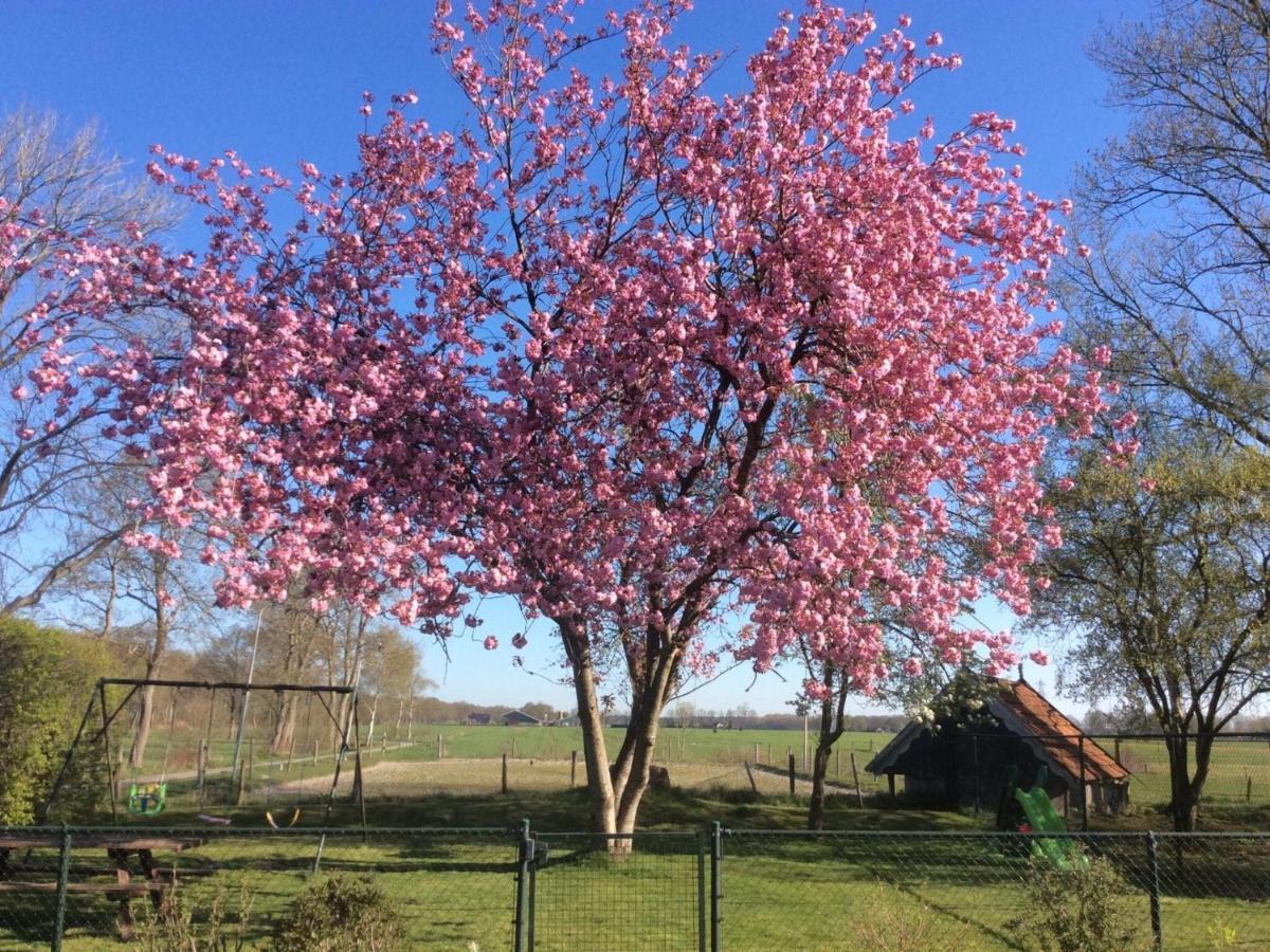 Fine Holiday Home In Donkerbroek Esterno foto